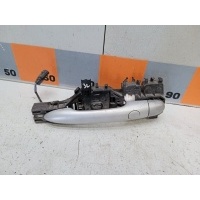 Ручка двери наружная Renault Scenic 2, JM, JM0C, JM0J, JM1B, JM05, JM1N 7701209344