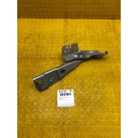 Петля капота Renault Arkana 2021 654005096R