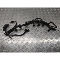 Проводка двигателя Mercedes Vaneo 2004 A1661500033
