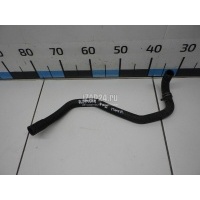 Патрубок Ford Focus II (2005 - 2008) 1377462