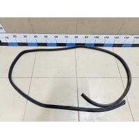 Уплотнитель (внутри) NISSAN Qashqai (J10) 2006-2014 76923JD01C