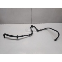 Трубка вакуумная Ford C-MAX (2003 - 2010) 1479766