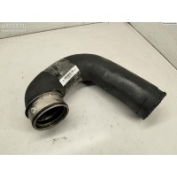 Патрубок интеркулера Volkswagen Passat B5+ (GP) 2003 3B0145834AB