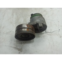 Механизм натяжения ремня, цепи Opel Vivaro 2006 071402