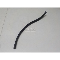 Уплотнитель стекла двери Toyota Corolla E12 (2001 - 2007)  6479513010C0