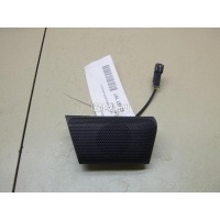 Динамик GM Captiva (C100) (2006 - 2010) 96628312
