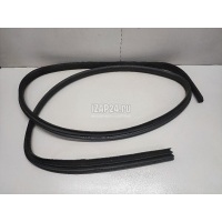 Уплотнитель (внутри) Ford Focus II (2008 - 2011) 1534918