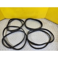 Уплотнитель Nissan Navara (D40) 2004-2015 2009