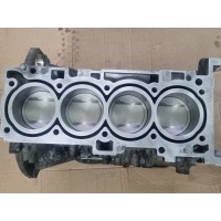 Шорт блок G4KD Kia Sportage 211002G034, 301TM2GA01A, G4KD