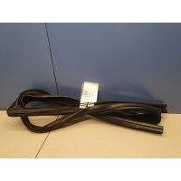 Уплотнитель стекла передней правой двери Mercedes M-klasse W164 ML 2005-2011 A1647250425