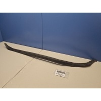 Уплотнитель Tesla Model S 2012- 600958800D