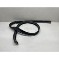 Уплотнитель (наружный) Renault Sandero (2009 - 2014) 8200733152