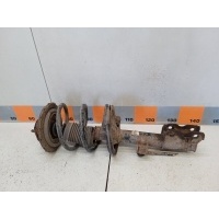 Амортизатор передний Nissan Murano Z50,TZ50,PZ50,PNZ50 2004 E4302CC40A