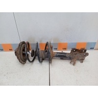 Амортизатор передний Nissan Murano Z50,TZ50,PZ50,PNZ50 2004 E4303CC40A
