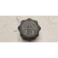Пробка расширительного бачка Citroen Berlingo (1996-2008) 2007 0000132314
