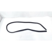 Уплотнитель проема двери Ford Focus 3 2015 1748755, BM51-N25324-AF