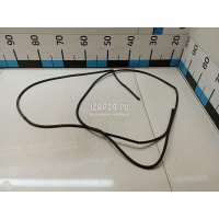 Трубка омывателя Renault Megane IV 2016 7700665857