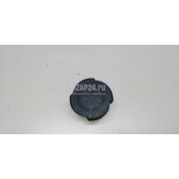 Крышка расширительного бачка BMW Z4 E85/E86 (2002 - 2008) 17117639022