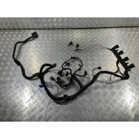 Проводка двигателя Volkswagen Passat CC 2012 06J972619BR