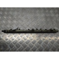 Топливная рампа Opel Omega (B) 2002 0445216002