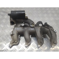 Коллектор впускной Renault Scenic II (2003-2009) 2005 8200272607