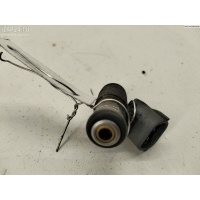 Форсунка топливная Volkswagen Golf-4 2002 036906031G, 036031C