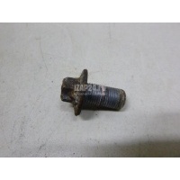 Болт Renault Megane II (2003 - 2009) 7703002714