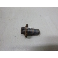 Болт Renault Megane II (2003 - 2009) 7703002714
