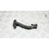 Гофра проводки багажника Mercedes C W203 2006 A2038210697
