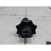 Болт крепления запасного колеса Audi Q5 8R 2010 1K0803899E
