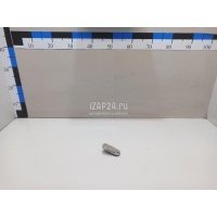 Фонарь подсветки номера Hyundai-Kia Santa Fe (SM)/ Santa Fe Classic (2000 - 2012) 9250126100