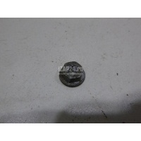 Гайка VAG Golf Plus (2005 - 2014) N01508213