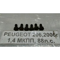 Болт маховика Peugeot 206 2A/C 2006 691489