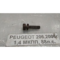 Болт коленвала Peugeot 206 2A/C 2006 051660