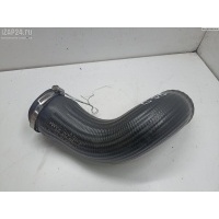 Патрубок интеркулера Opel Signum 2004 24456772