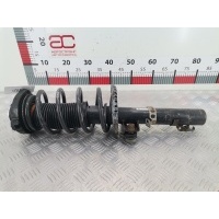 Стойка амортизатора переднего правого (МакФерсон) Seat Ibiza 3 (2002-2008) 2006 6Q0413031BR,6Q0413031BR