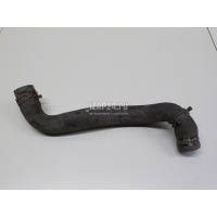 Патрубок радиатора Renault Scenic II (2003 - 2009) 8200233966