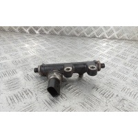 Топливная рампа дизельная LAND ROVER DISCOVERY (2004-2009) 2005 4R8Q9C066AC, 1357062