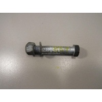 Болт переднего рычага VAG Cayenne (2003 - 2010) N10171302
