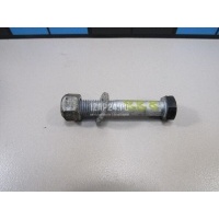 Болт переднего рычага VAG Cayenne (2003 - 2010) N10171302