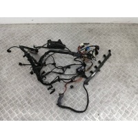 Проводка двигателя BMW 5 серия E60/E61 2009 12517803362