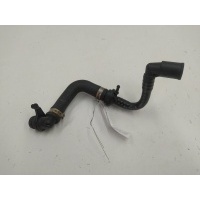 Трубка вакуумного насоса Volkswagen Passat B6 2006 3C0612041BE