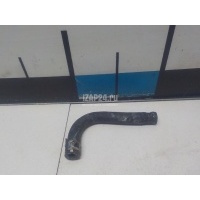 Шланг системы охлаждения Toyota GS 300/400/430 (2005 - 2011) 1628131021