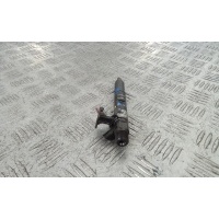 Форсунка дизельная RENAULT MEGANE (2008-2011) 2013 166000897R