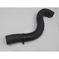 Патрубок радиатора Hyundai-Kia Sorento II (2009 - 2020) 254122P000