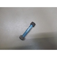 Болт карданный Mercedes Benz W212 E-Klasse (2009 - 2016) 0119901104
