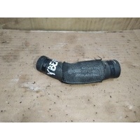 Патрубок (трубопровод, шланг) Audi A4 B8 2011 059121105F