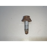 Болт VAG A4 [B8] Allroad (2009 - 2015) N91066101