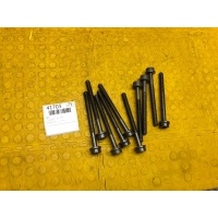 Болт Volkswagen Tiguan 2021 WHT009271