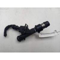 Форсунка топливная Opel Astra H 2006 25343299